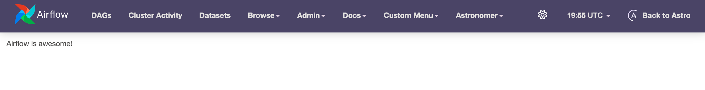 Custom Plugins View