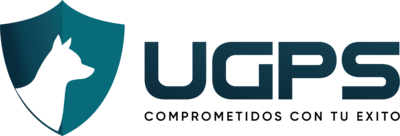light logo