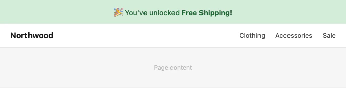Free shipping progress bar showing success state after qualifying