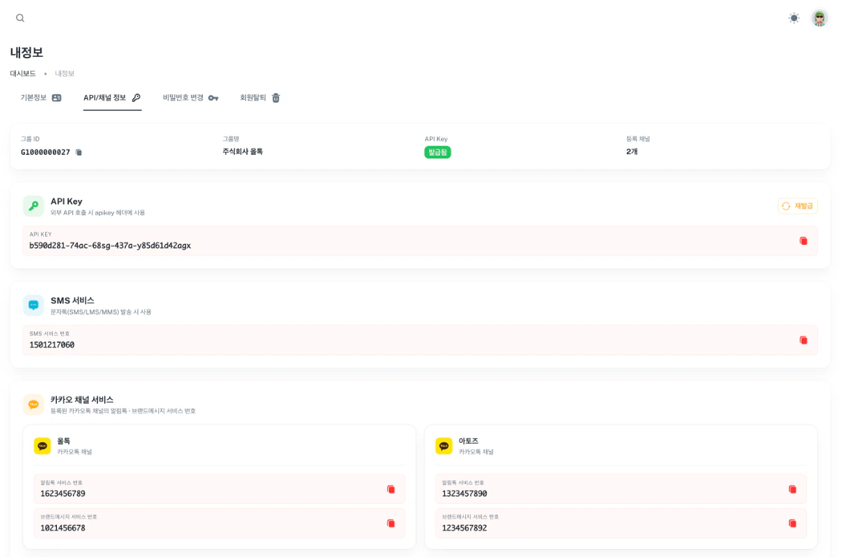 API 키 확인 화면