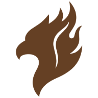 light logo