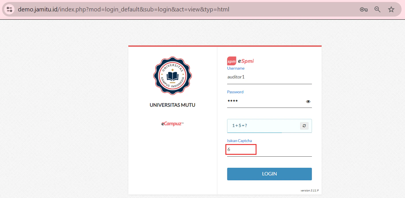 Auditor Captcha