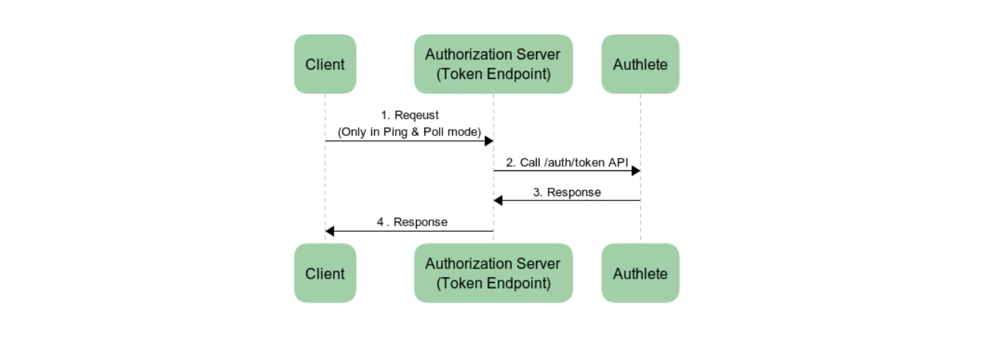 Token Endpoint