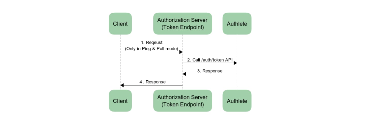 Token Endpoint
