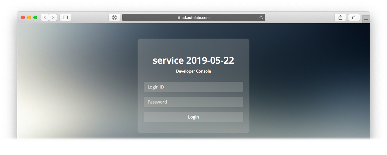 Developer Console login