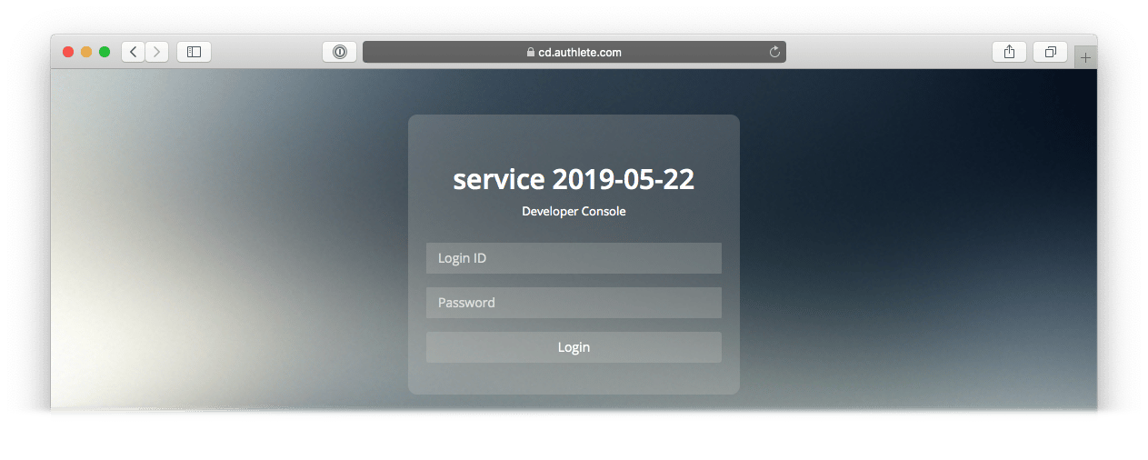 Developer Console login