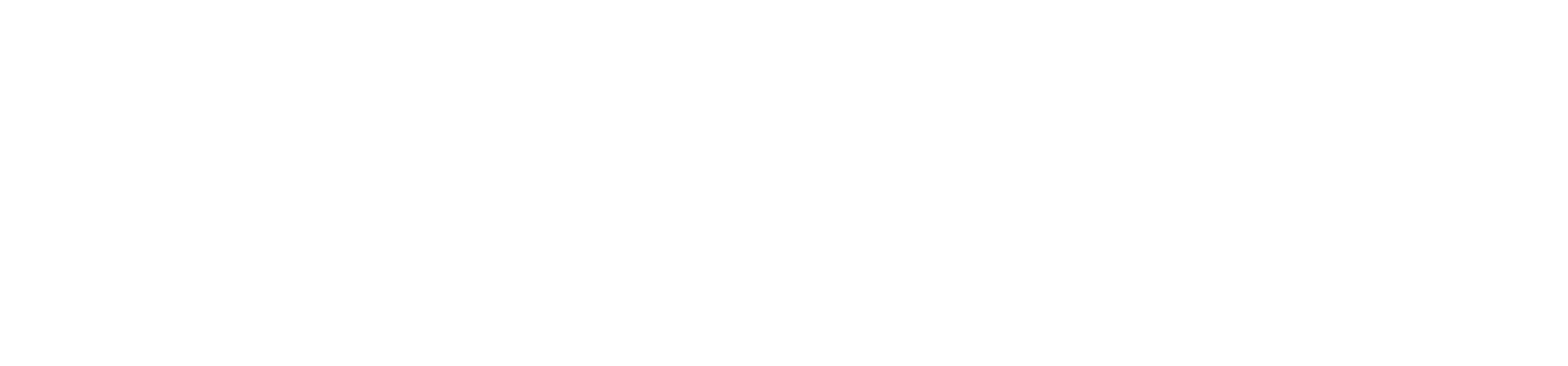 dark logo