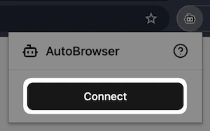 Connect to the MCP server