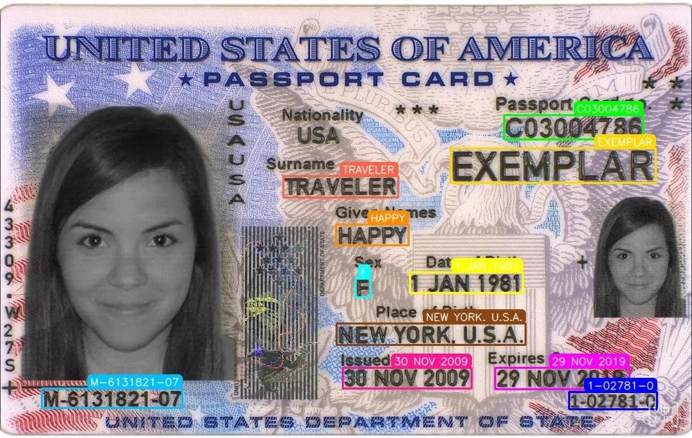 Example of a driver's license document with visual grounding