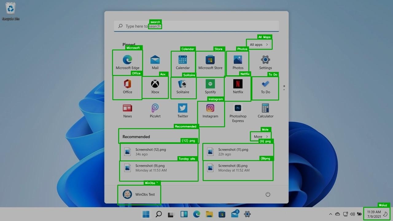 UI parsing example showing UI element detection and classification with interactive elements
