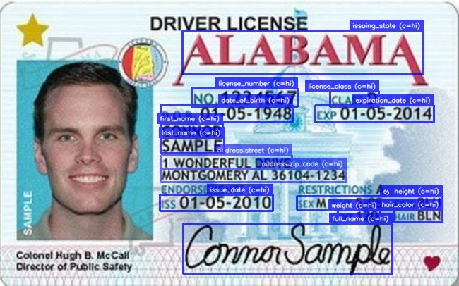 Example of a driver's license document with visual grounding
