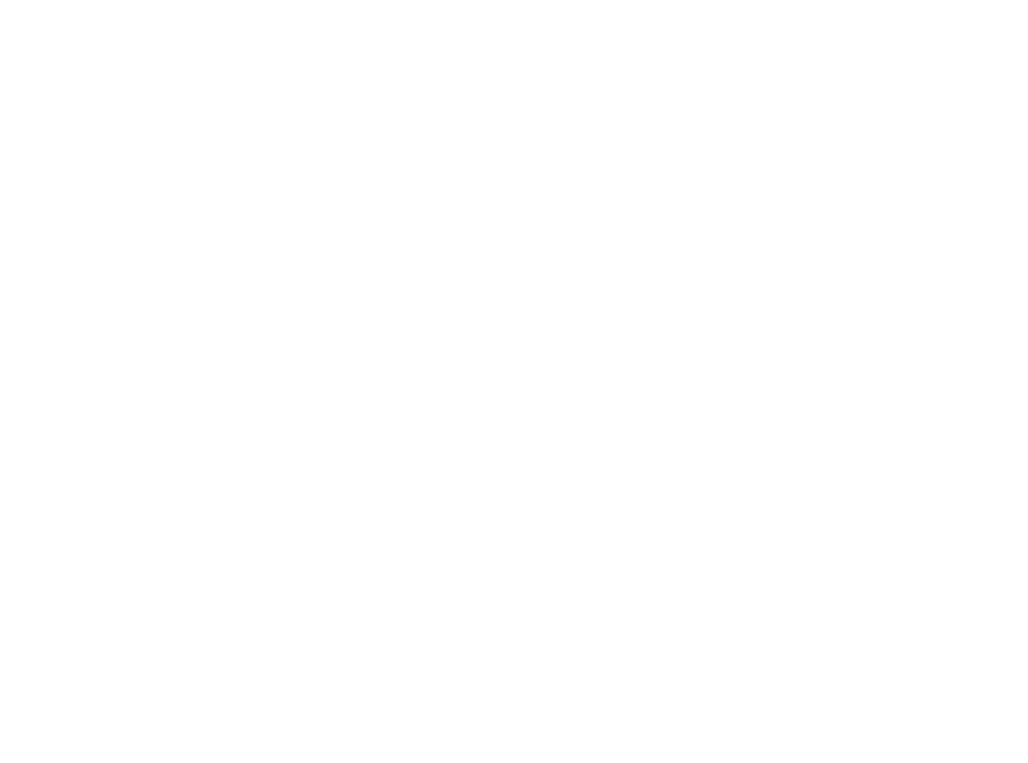 light logo