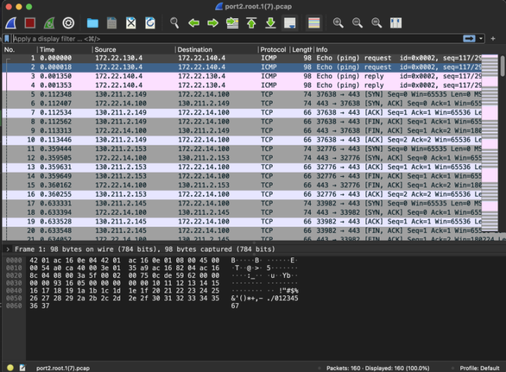 fortgcp-packetcapture2