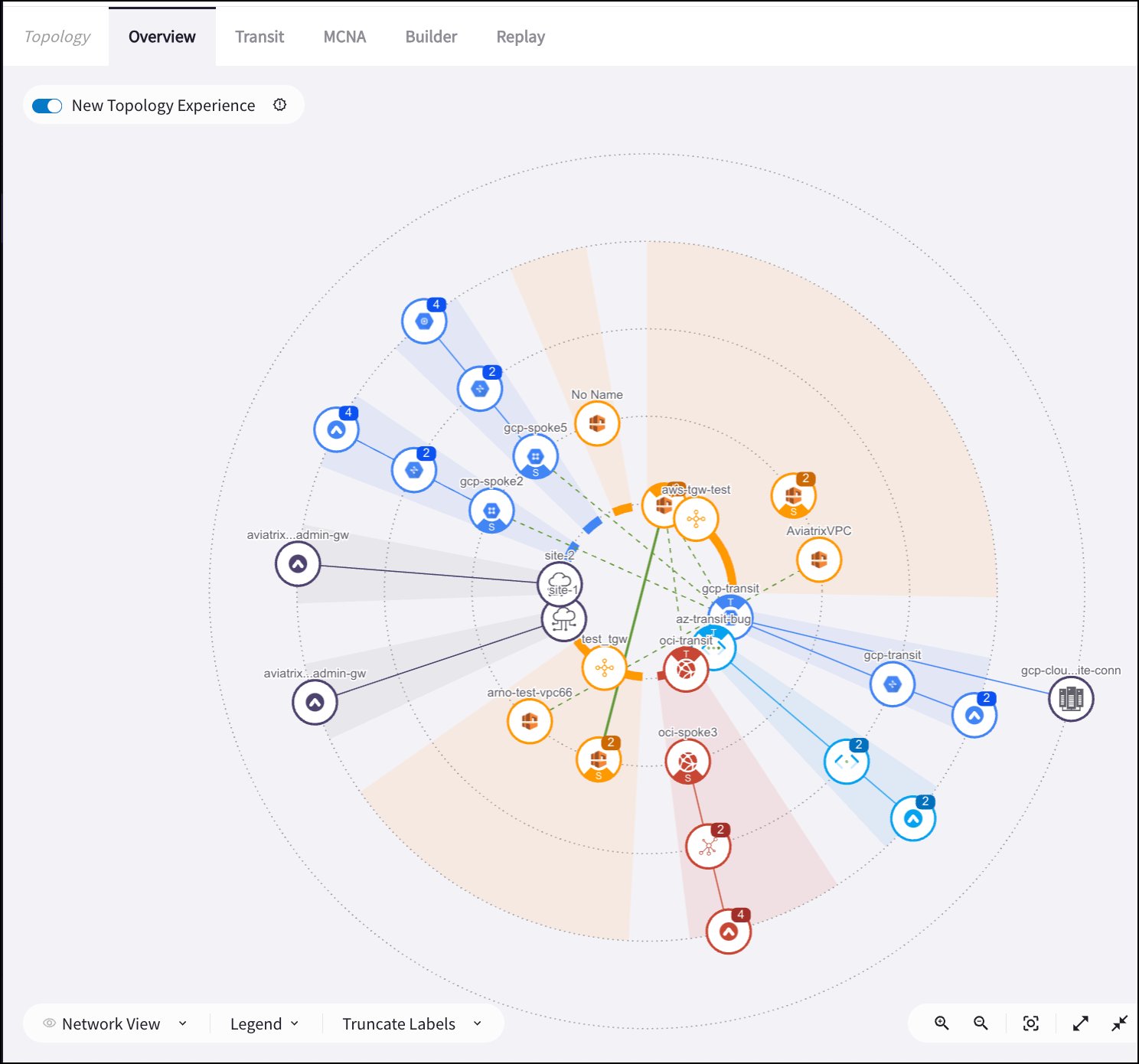Topology map populated with nodes representing network constructs