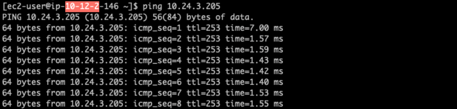 Ping test from Aviatrix subnet to Check Point subnet