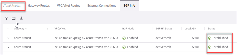 BGP session status showing Established