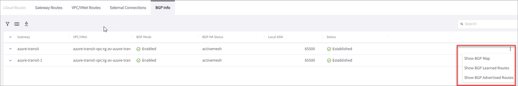 CoPilot BGP info showing learned and advertised routes