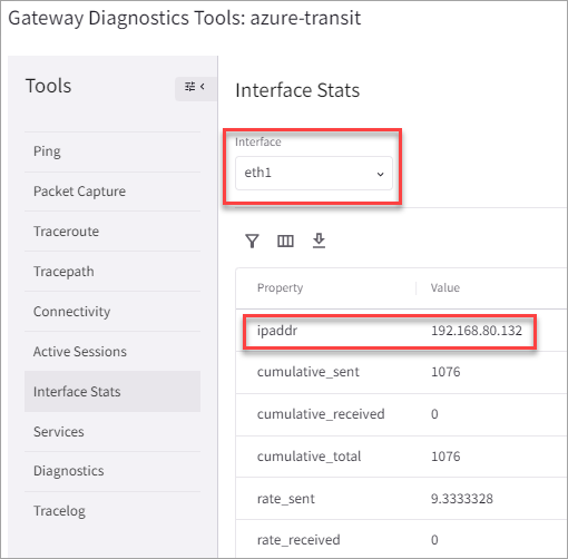 Primary Transit Gateway interface information