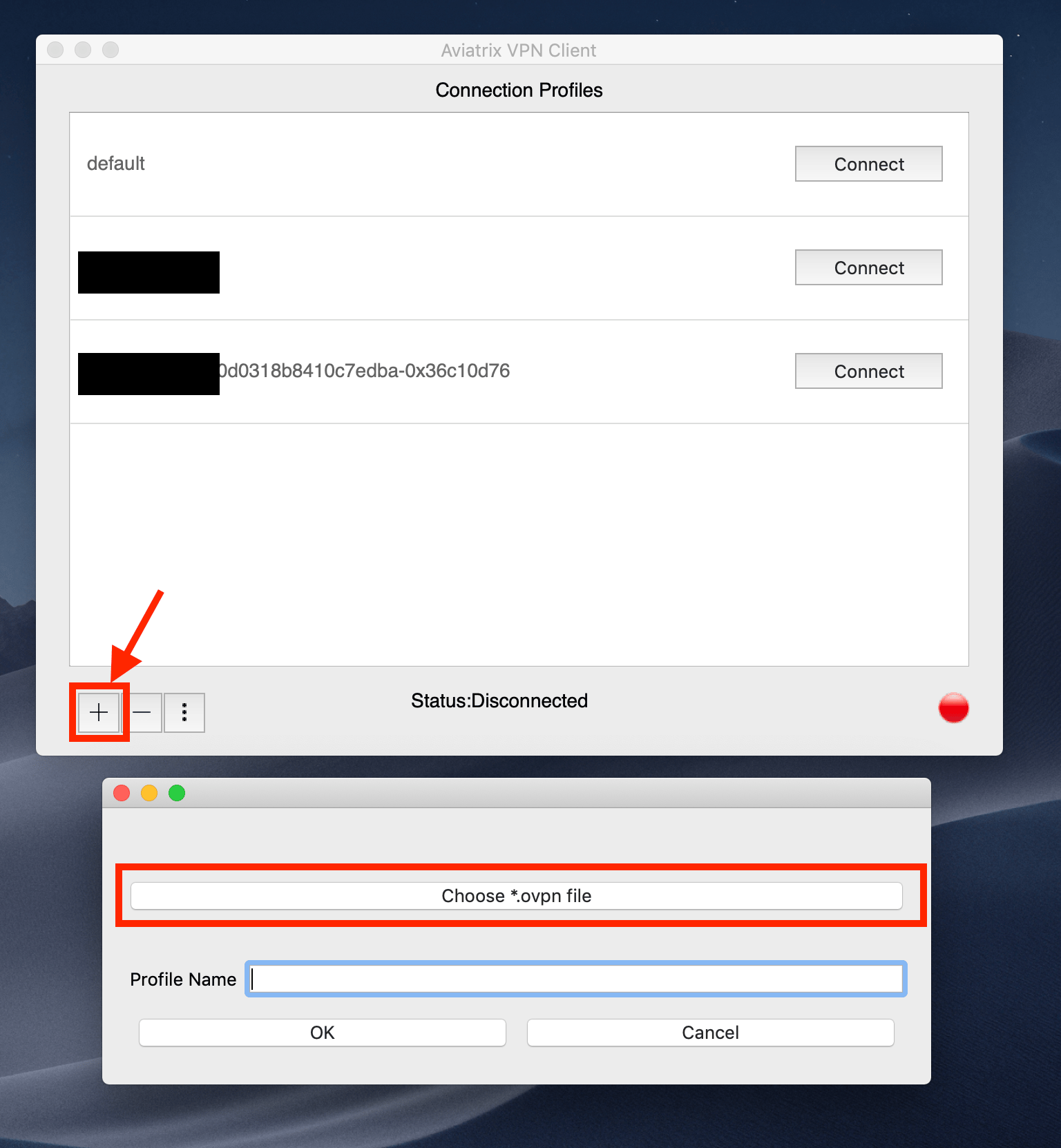 Aviatrix VPN Client Setup