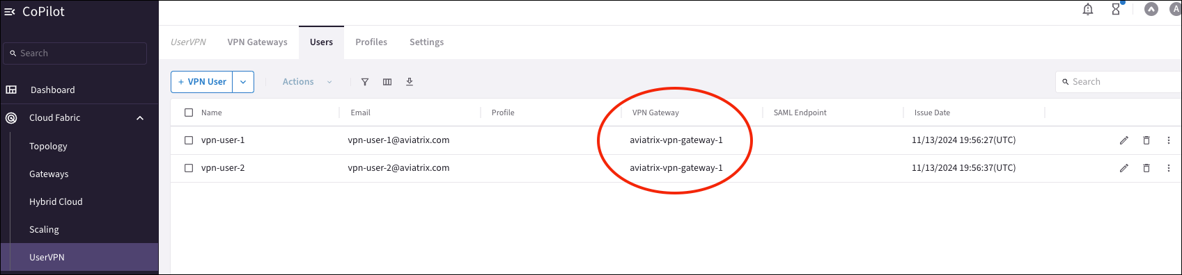 CoPilot VPN Users page showing connected users