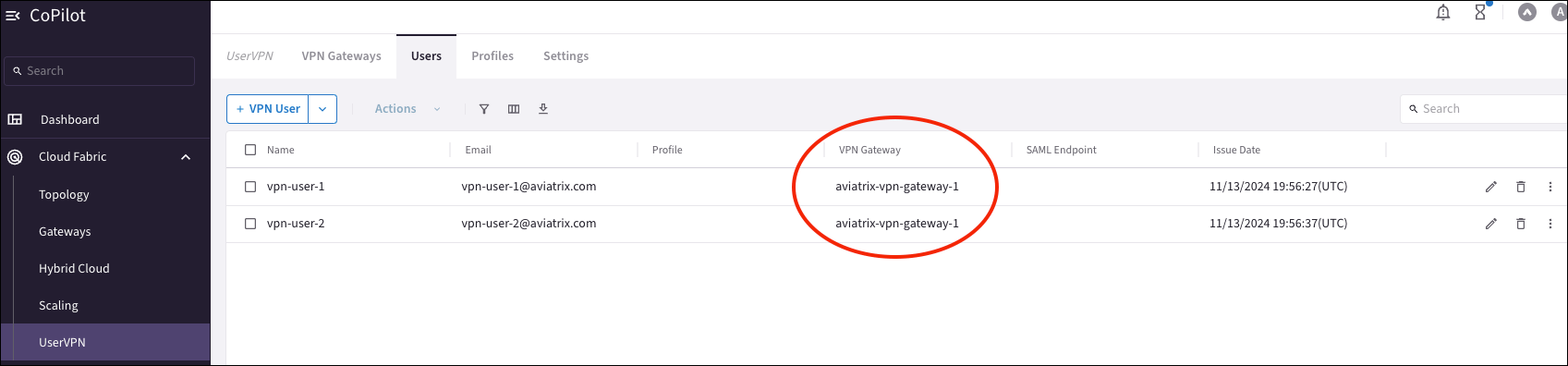CoPilot VPN Users page showing connected users