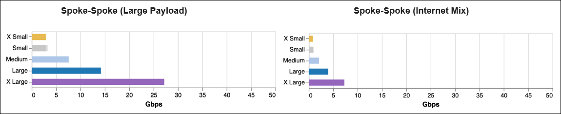 AWS Spoke Gateway Sizing