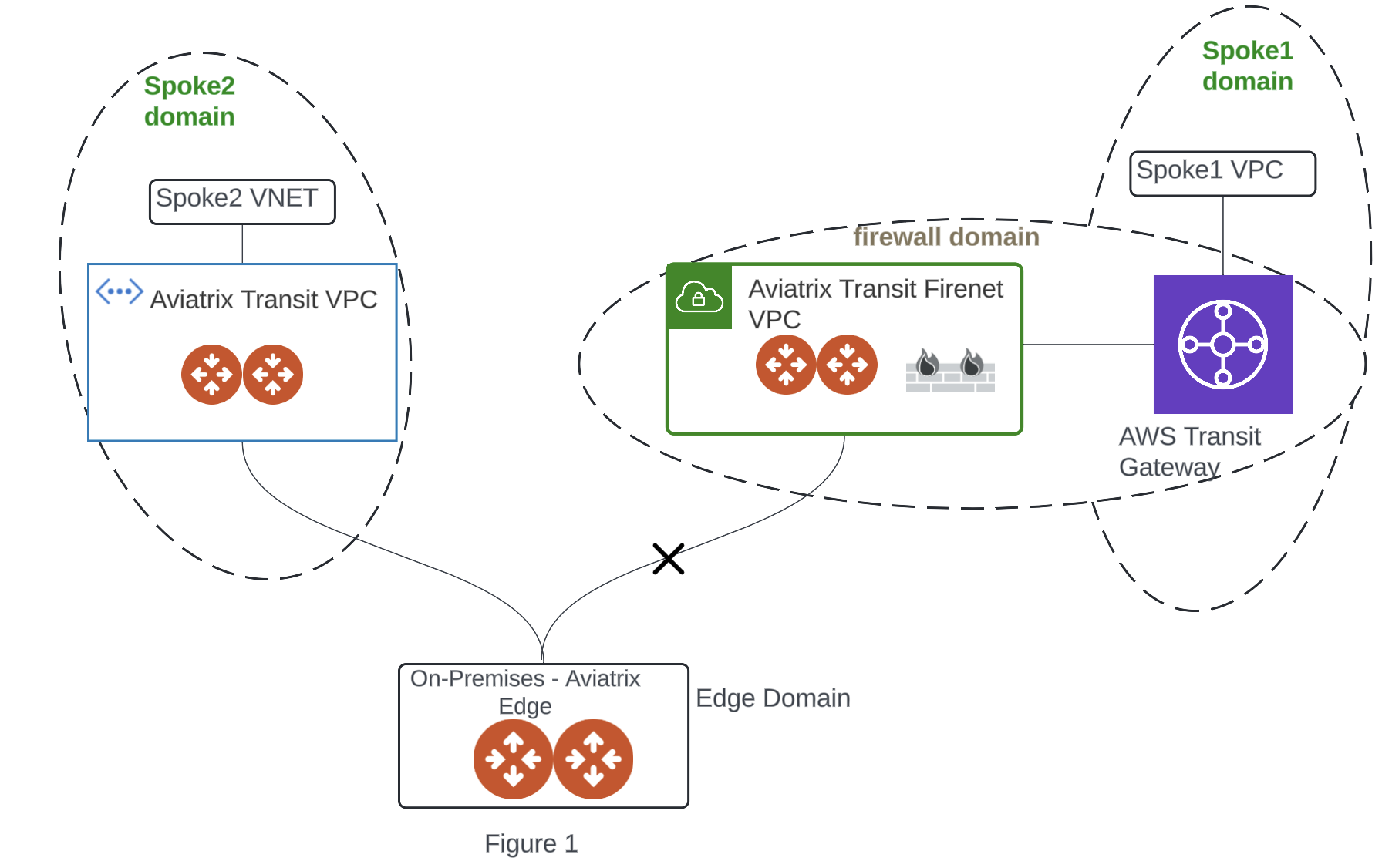Edge Spoke Gateway to AWS TGW domain with FireNet enabled - limitation