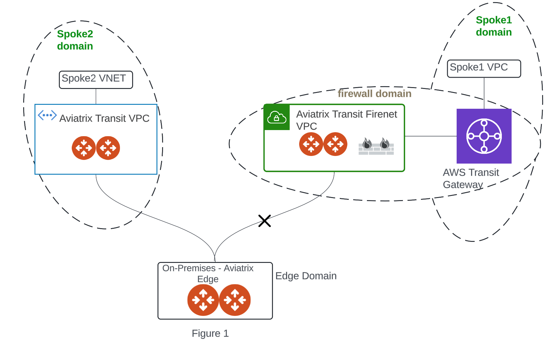 Edge Spoke Gateway to AWS TGW domain with FireNet enabled - limitation