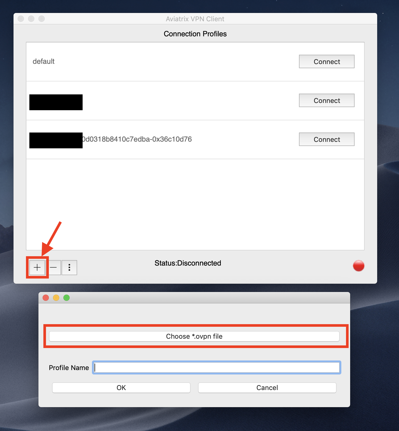 Aviatrix VPN Client Setup