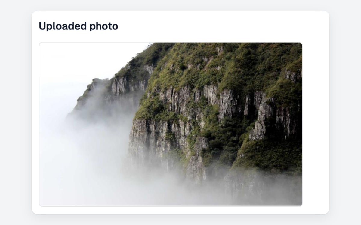 display-image
