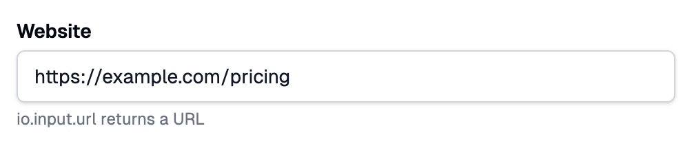 A Website field filled with https://example.com/pricing, with help text under it