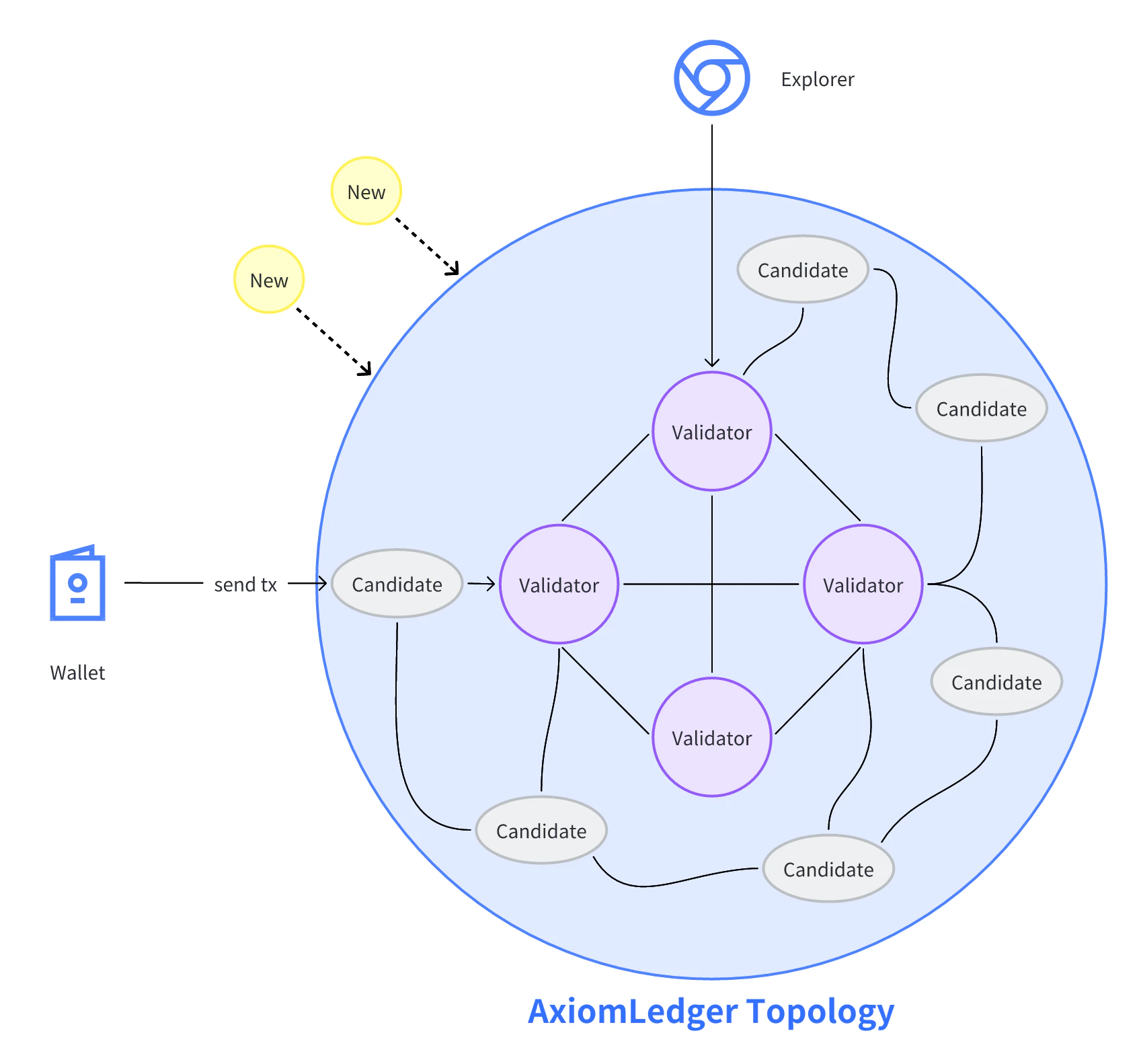 AxiomLedger network topology