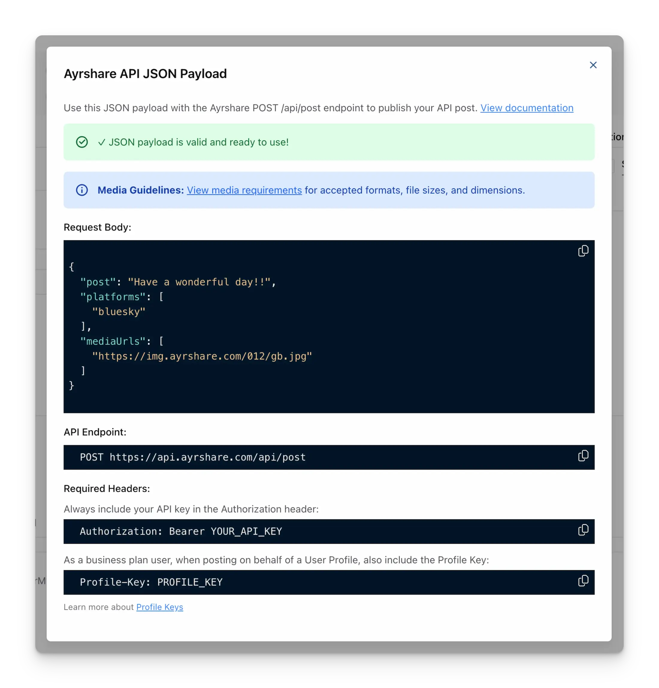 JSON payload preview