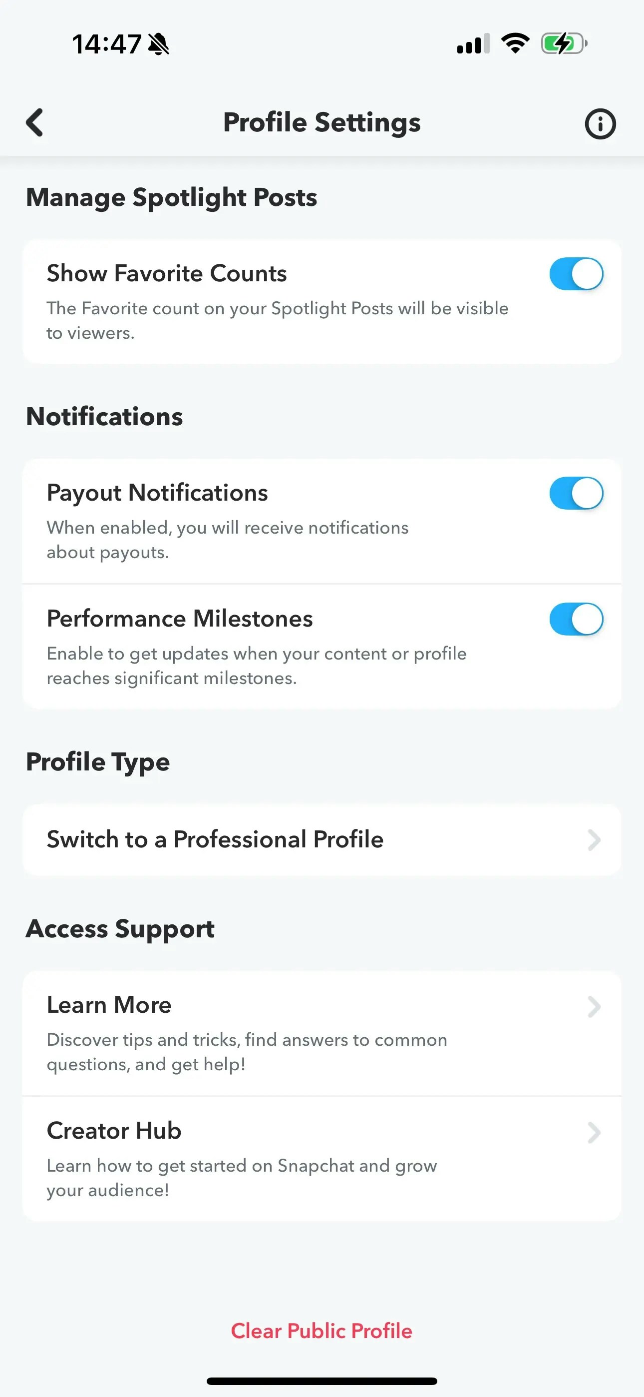 Snapchat Professional Profile