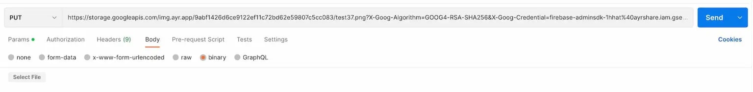 Postman Binary Upload