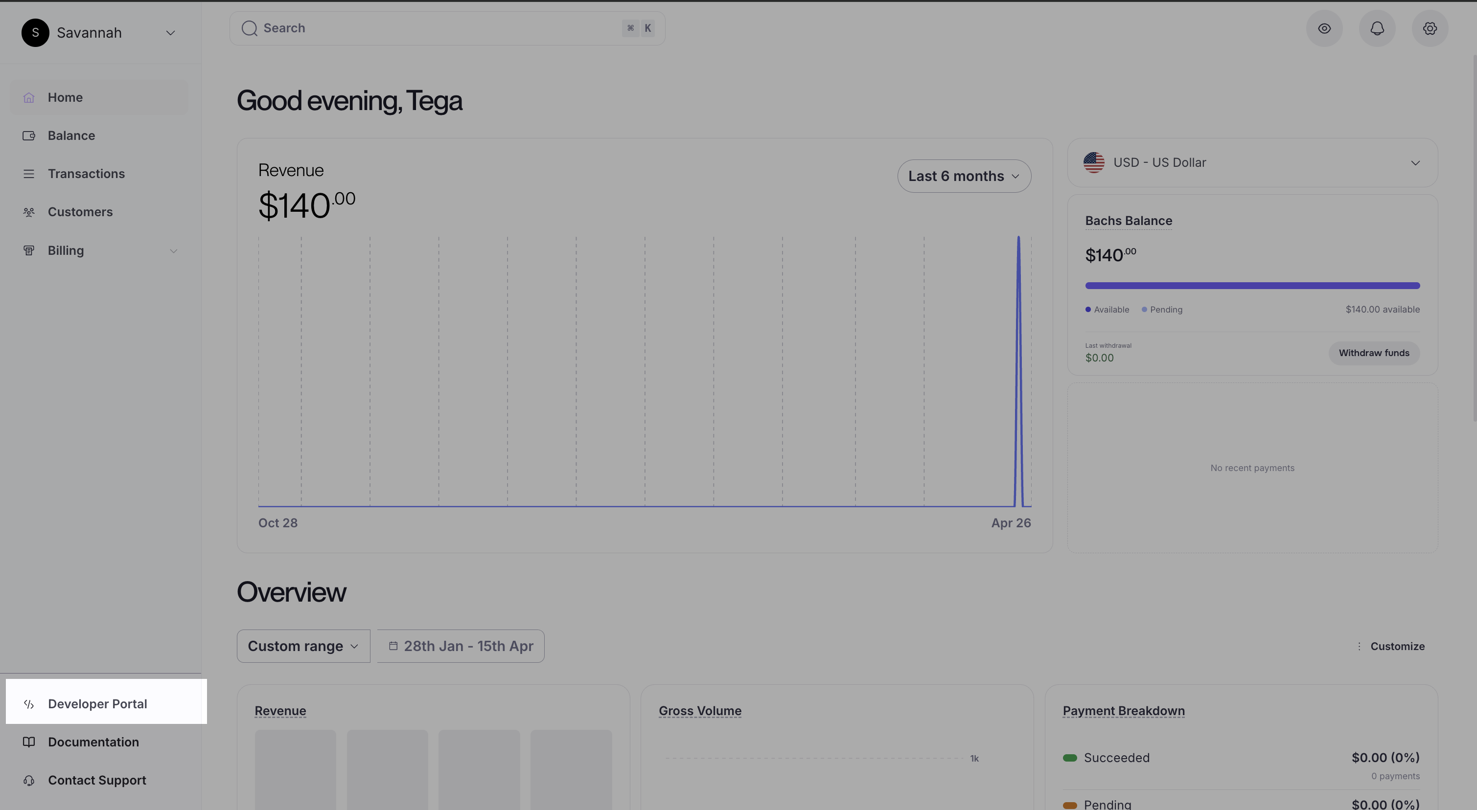 A screen showing how to access the developer portal from the dashboard
