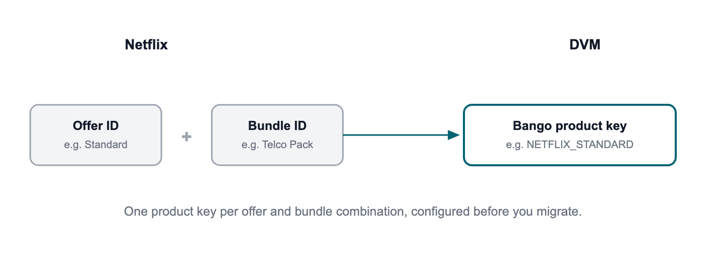 Netflix product mapping into DVM