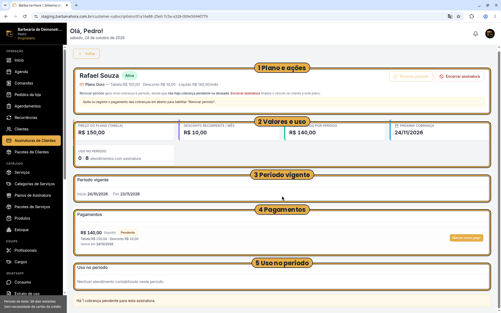 Detalhes da assinatura com plano, valores, período vigente, pagamentos e uso destacados