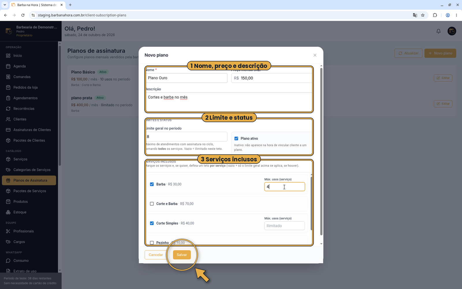 Formulário do plano com nome, preço, descrição, limite, status e serviços inclusos destacados