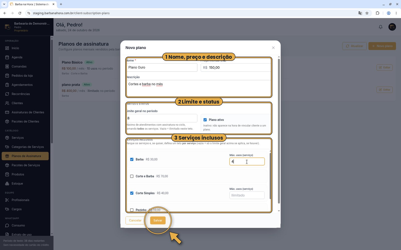 Formulário do plano com nome, preço, descrição, limite, status e serviços inclusos destacados