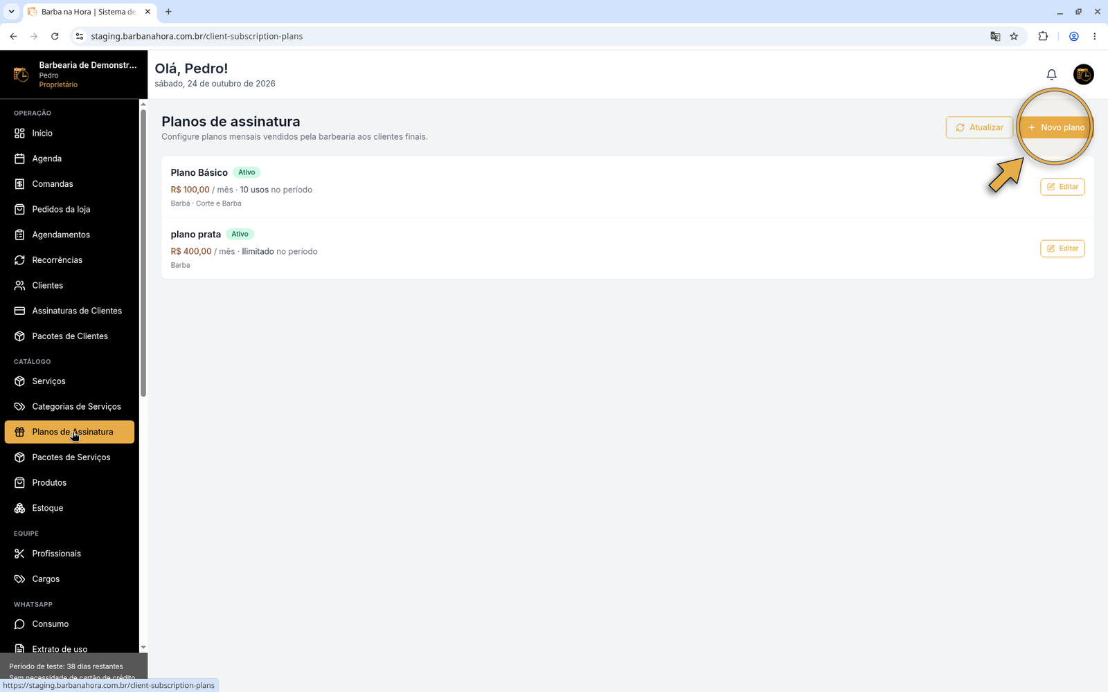 Tela Planos de Assinatura com seta no botão Novo plano