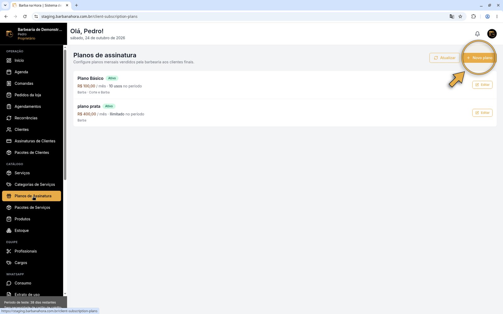 Tela Planos de Assinatura com seta no botão Novo plano