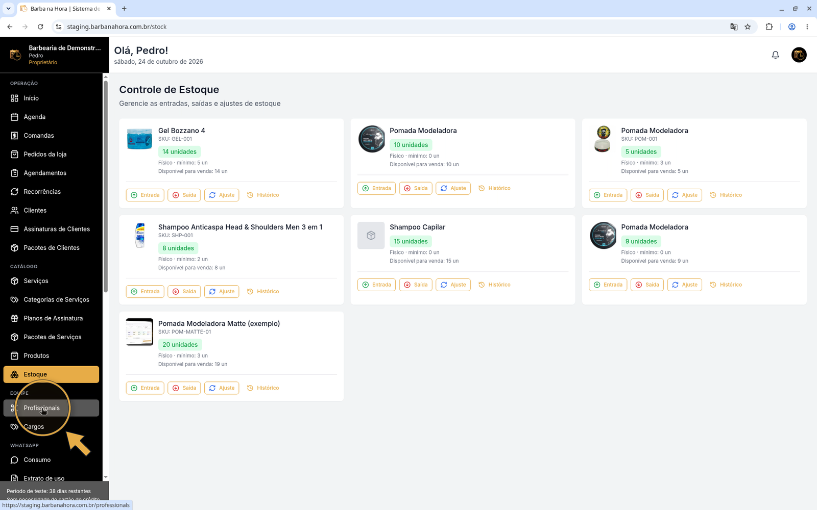 Menu lateral com a opção Profissionais destacada no grupo Equipe
