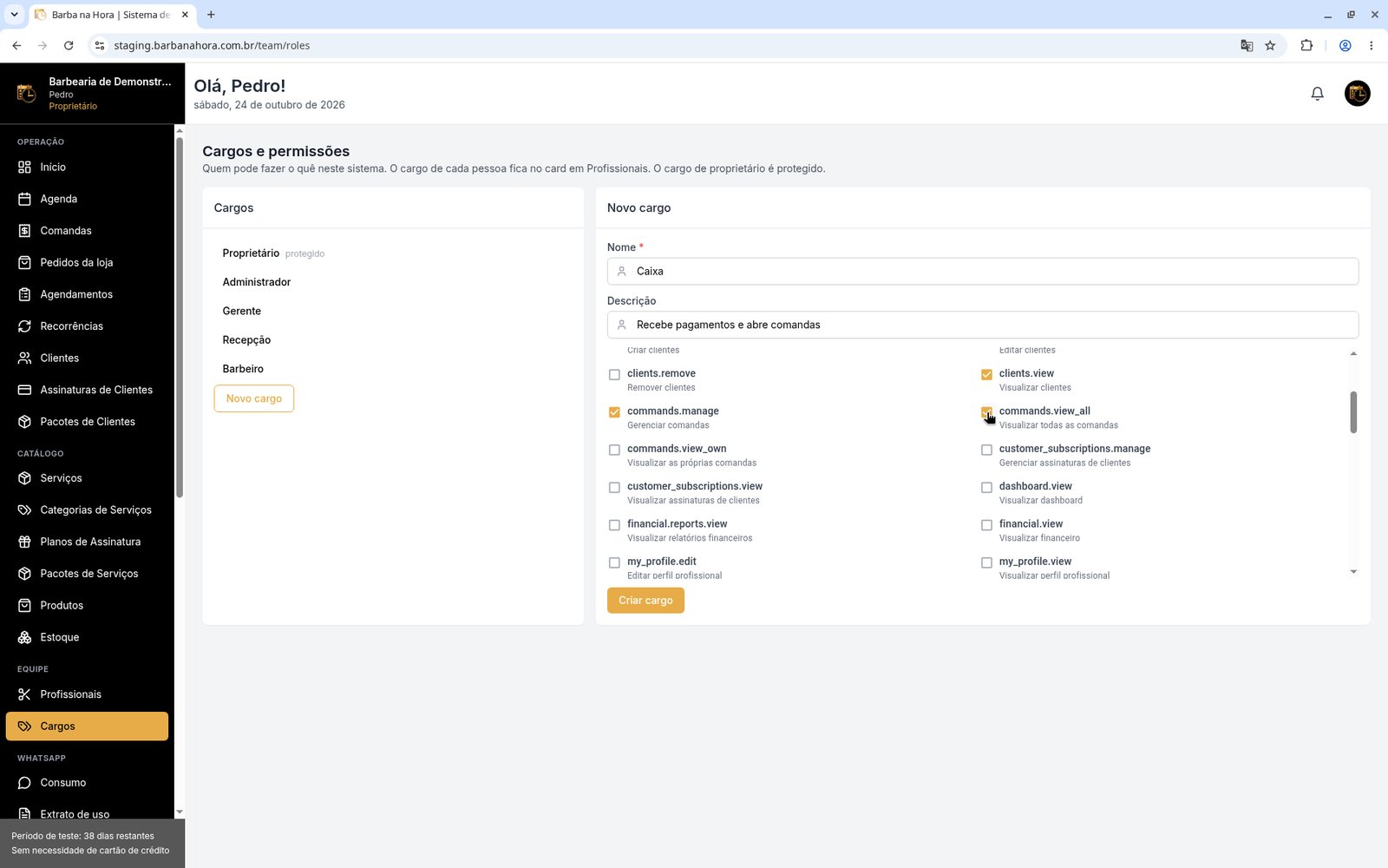 Lista de permissões com commands.manage e clients.view marcados