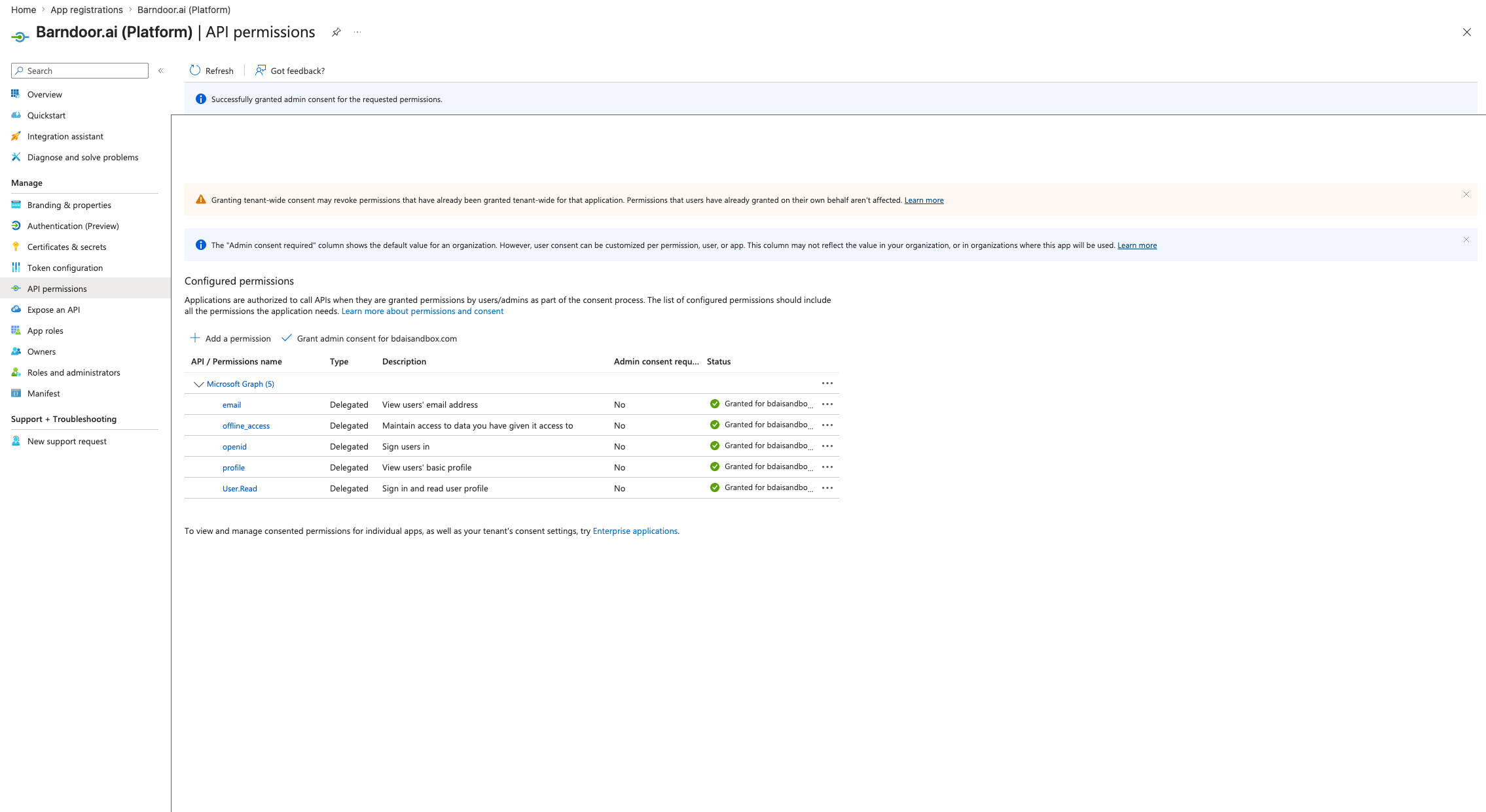 API permissions with the Successfully granted admin consent banner and all scopes showing green checkmarks