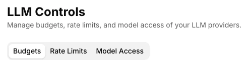 LLM Controls page header showing the Budgets, Rate Limits, and Model Access tabs