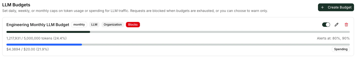 Budgets tab listing with token and spending progress per budget
