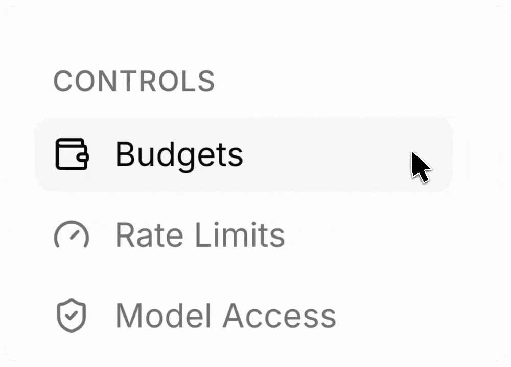 The Controls group of the LLM Management hub showing the Budgets, Rate Limits, and Model Access sections