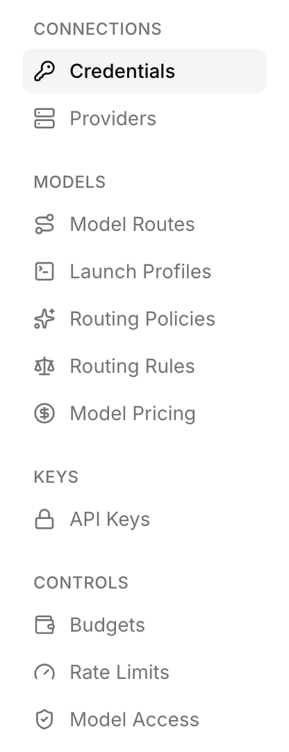 LLM Management hub showing the Connections, Models, Keys, and Controls section groups in the left navigation