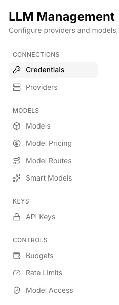 LLM Management hub showing the Connections, Models, Keys, and Controls section groups in the left navigation